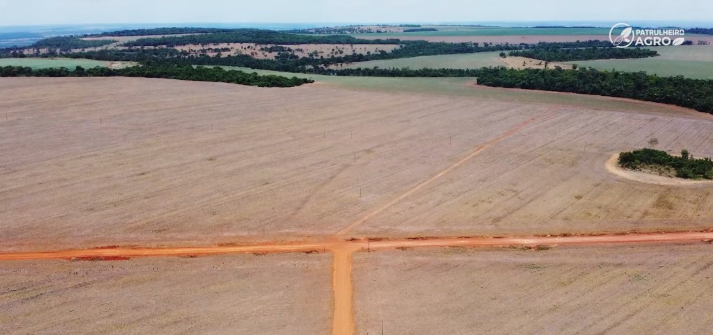 moratória da soja patrulheiro agro