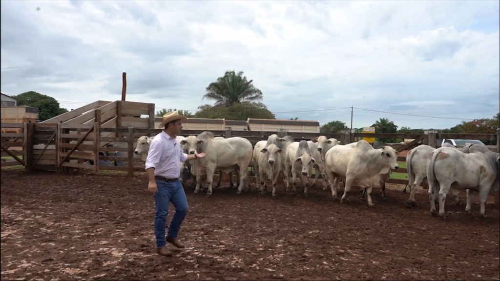 Prosa com o Deva Manejo Nada nas mãos