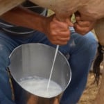 senar transforma ateg leite foto canal rural mato grosso1