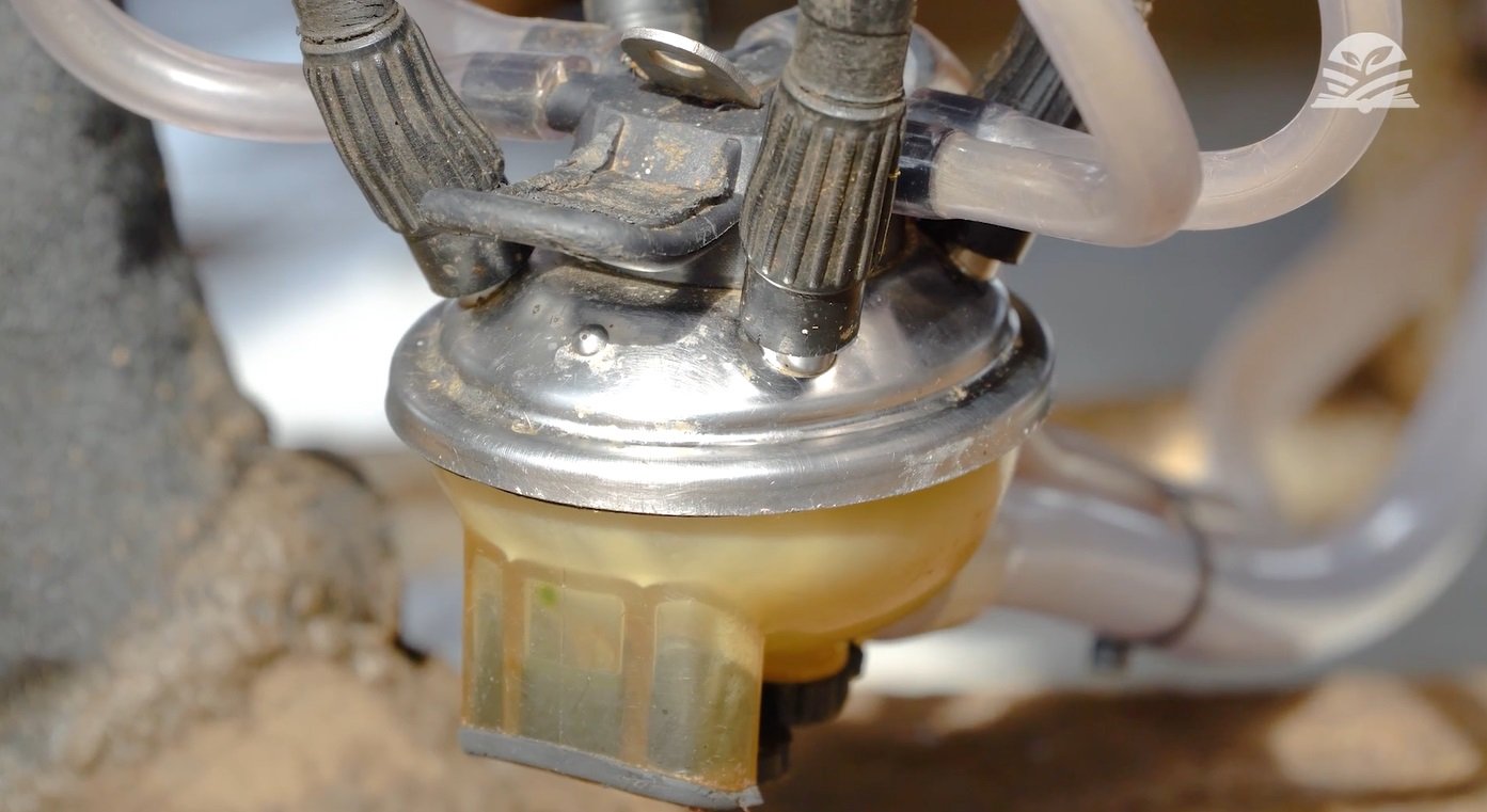 Foto: Leandro Balbino/Canal Rural Mato Grosso