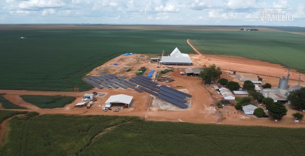 Mais Milho Lucas Konageski diamantino foto israel baumann canal rural mato grosso1
