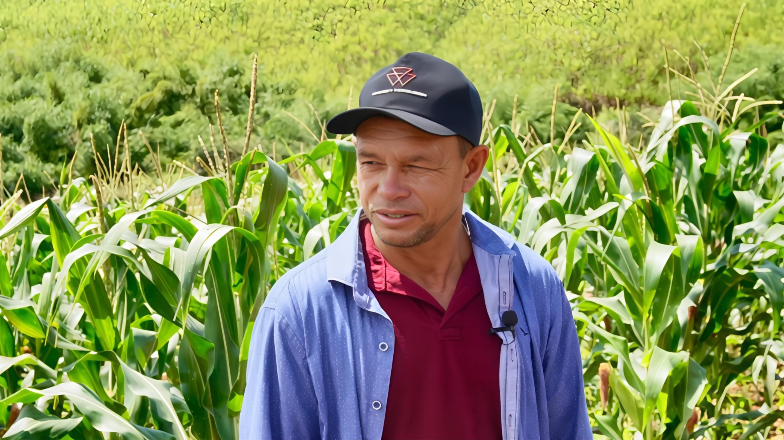 Alaércio Barbosa da Silva produtor de Alagoas Programa Prospera foto Israel Baumann Canal Rural Mato Grosso