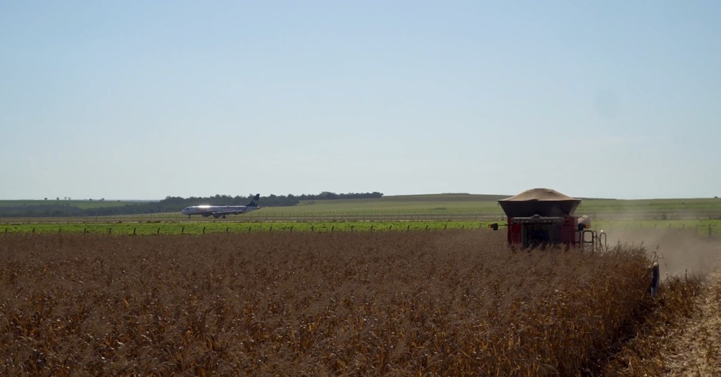 Etanol de milho e SAF o futuro da aviação limpa nasce em Mato Grosso Foto Leandro Balbino Canal Rural Mato Grosso