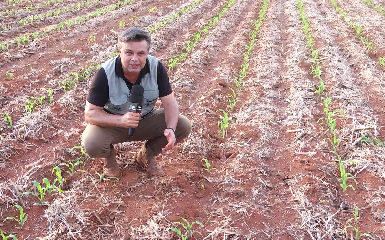 Foto: Pedro Silvestre/Canal Rural Mato Grosso
