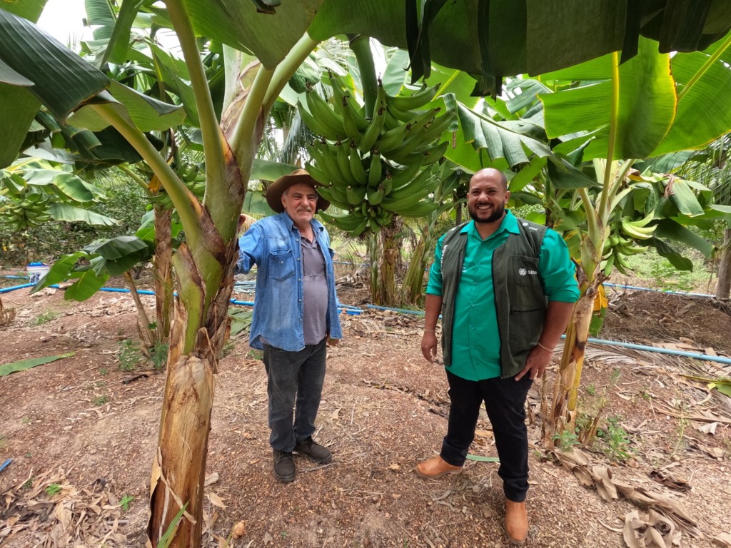 Senar Transforma Ateg Fruticultura Limão Banana Várzea Grande foto Israel Baumann Canal Rural Mato Grosso2