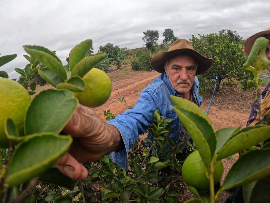 Senar Transforma Ateg Fruticultura Limão Banana Várzea Grande foto Israel Baumann Canal Rural Mato Grosso