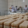Senar transforma agroindustria ateg doce de leite cocada sinop foto israel baumann canal rural mato grosso3