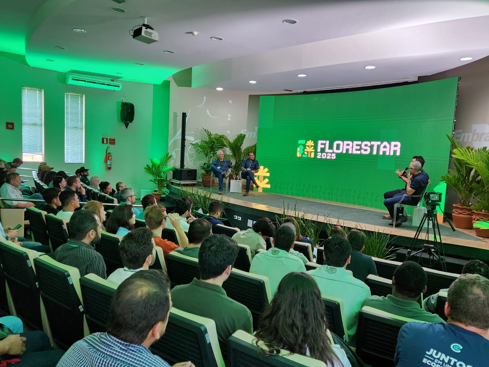 Florestar 2025 Floresta Plantada Arefloresta Biomassa Eucalipto Foto Assessoria