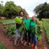ateg olericultura senar transforma horta foto israel baumann canal rural mato grosso4