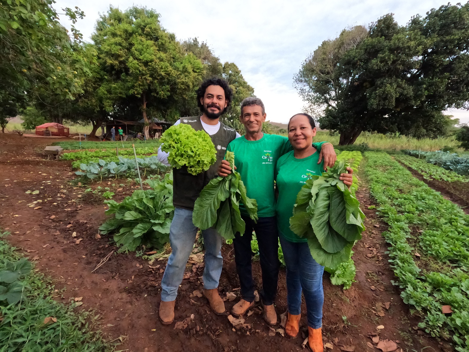 ateg olericultura senar transforma horta foto israel baumann canal rural mato grosso4
