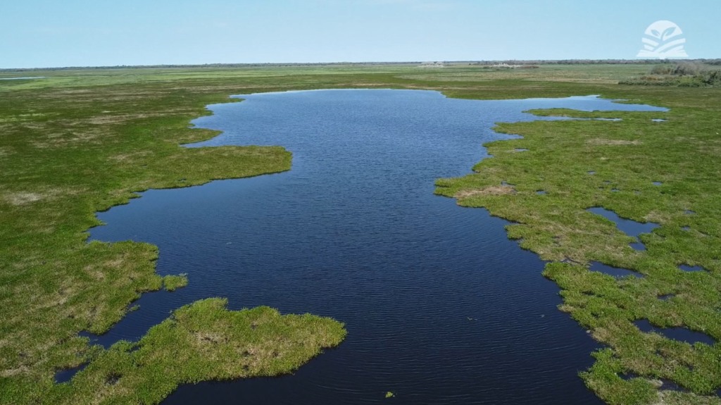 Pantanal Senar Transforma programa Fazenda Pantaneira Sustentável foto Israel Baumann Canal Rural Mato Grosso