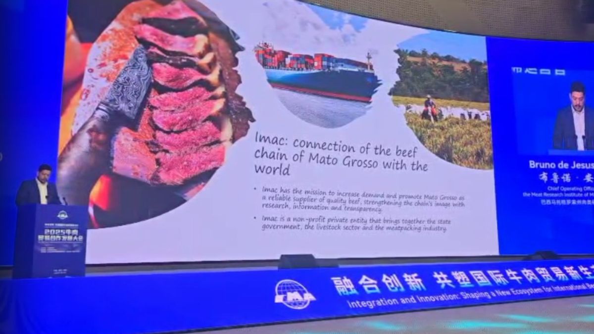 Imac Passaporte Verde China