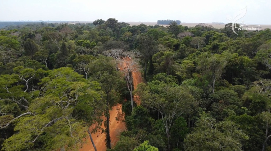 MT Sustentável CAR Tipologia foto Israel Baumann Canal Rural Mato Grosso1