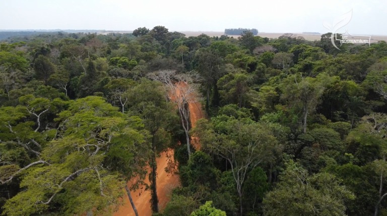 MT Sustentável CAR Tipologia foto Israel Baumann Canal Rural Mato Grosso1