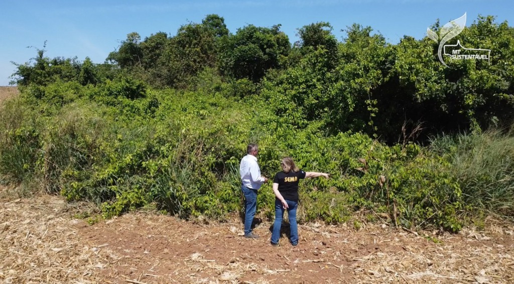 MT Sustentável área consolidada CAR Digital foto Israel Baumann Canal Rural Mato Grosso2