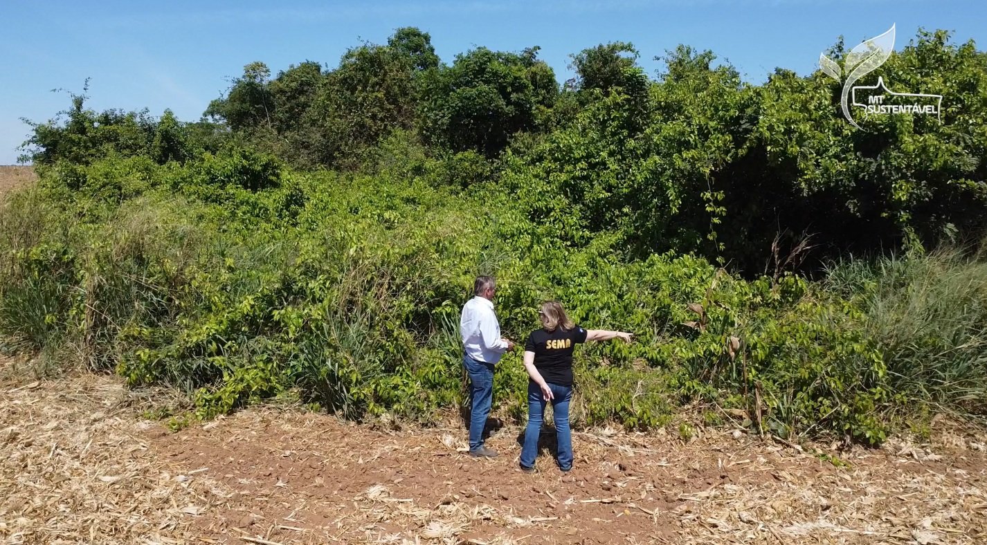 MT Sustentável área consolidada CAR Digital foto Israel Baumann Canal Rural Mato Grosso2