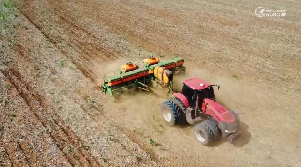 soja falta de chuva foto pedro silvestre canal rural mato grosso2