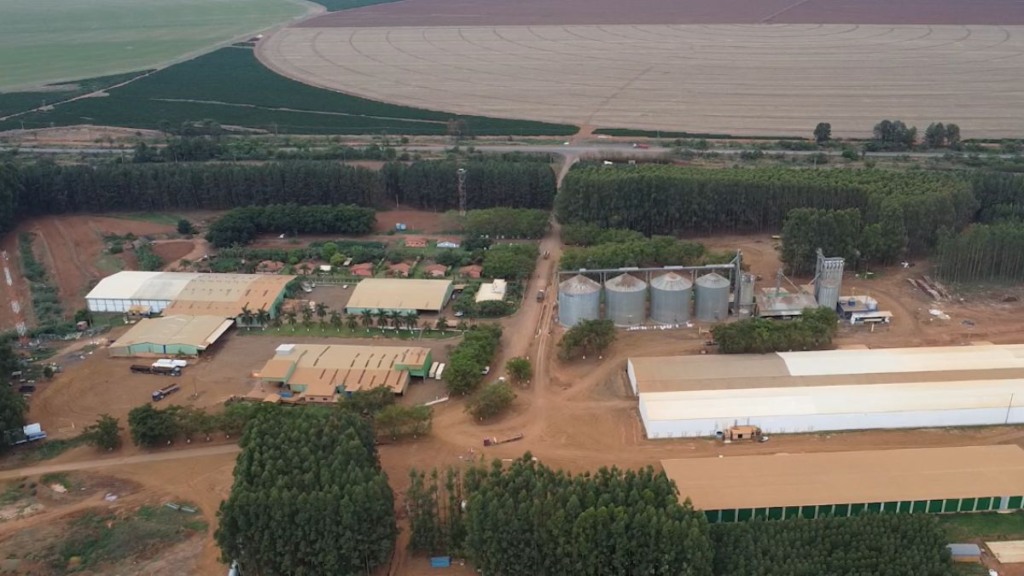 Milho verão ganha espaço em fazenda mineira referência em diversificação Minas Gerais Fazenda Água Santa Foto Israel Baumann Canal Rural Mato Grosso
