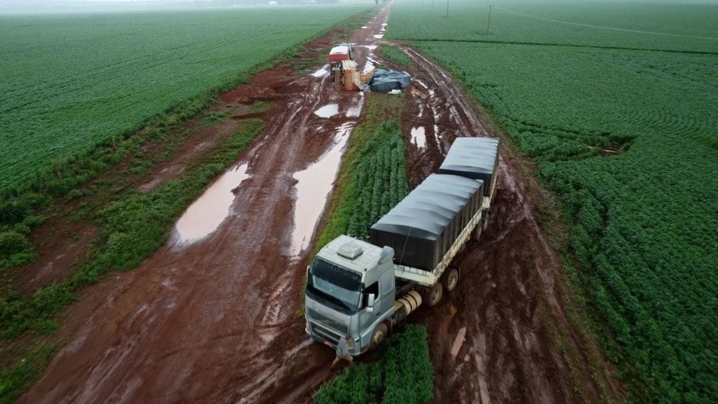 MT-140 Juscimeira Santo Antônio do Leverger Foto Pedro Silvestre Canal Rural Mato Grosso