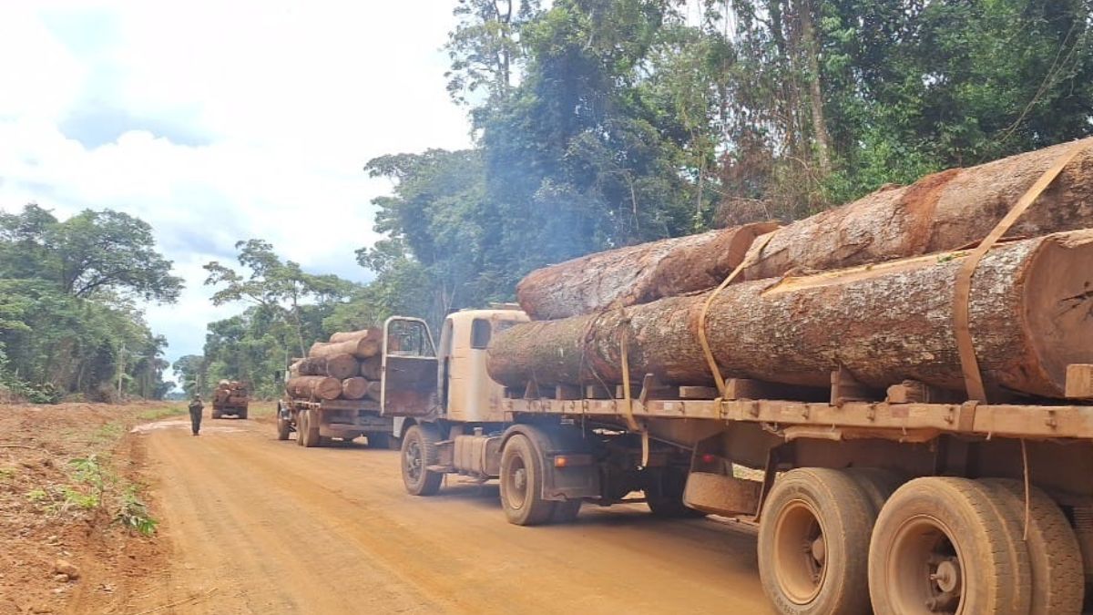 Polícia Militar apreende 103 m³ de madeira ilegal em Feliz Natal