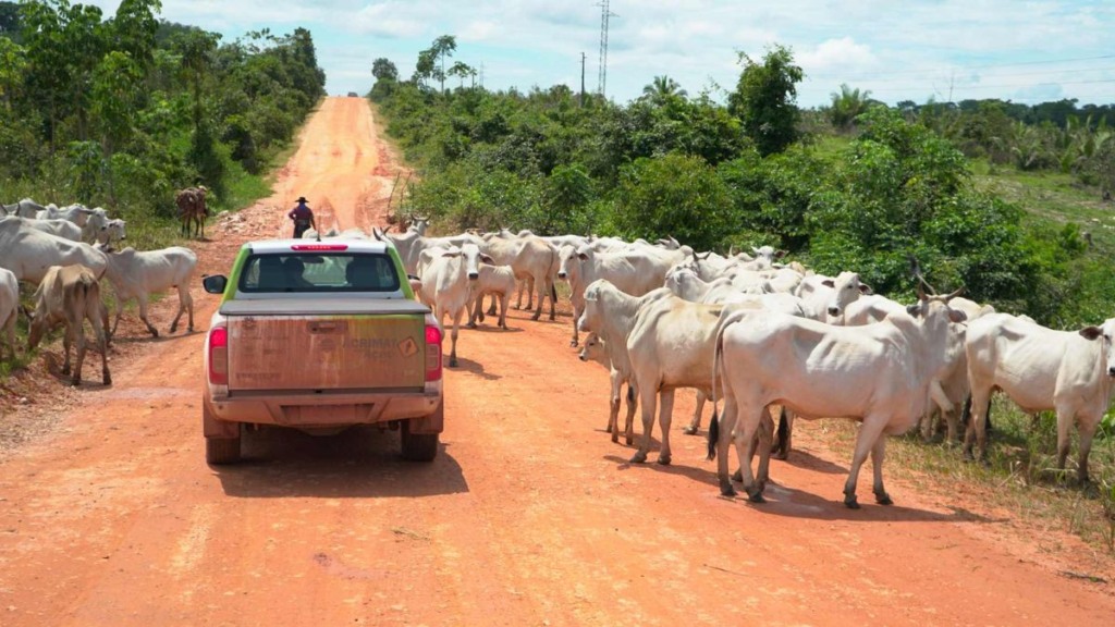 Acrimat em Ação. Foto: Acrimat/Reprodução