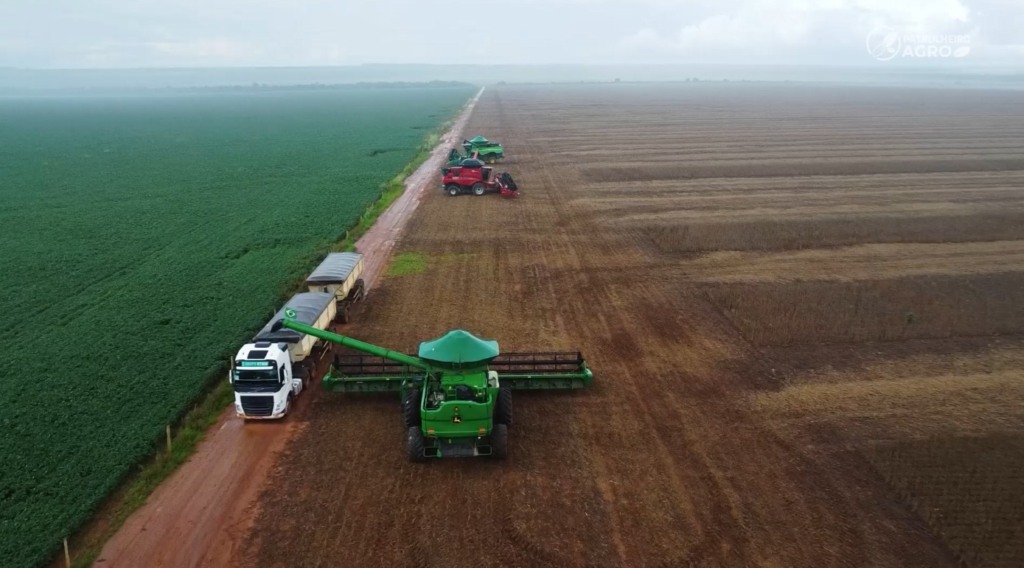 colheita soja campo novo do parecis foto pedro silvestre canal rural mato grosso3