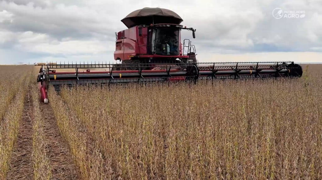 colheita soja foto pedro silvestre canal rural mato grosso