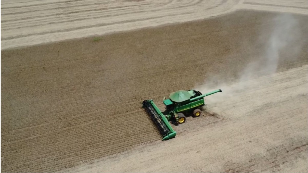 colheita soja plantio milho foto pedro silvestre canal rural mato grosso