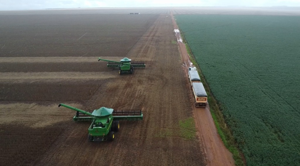 colheita soja plantio milho foto pedro silvestre canal rural mato grosso1