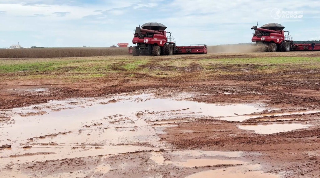 colheita soja querência chuva foto pedro silvestre canal rural mato grosso