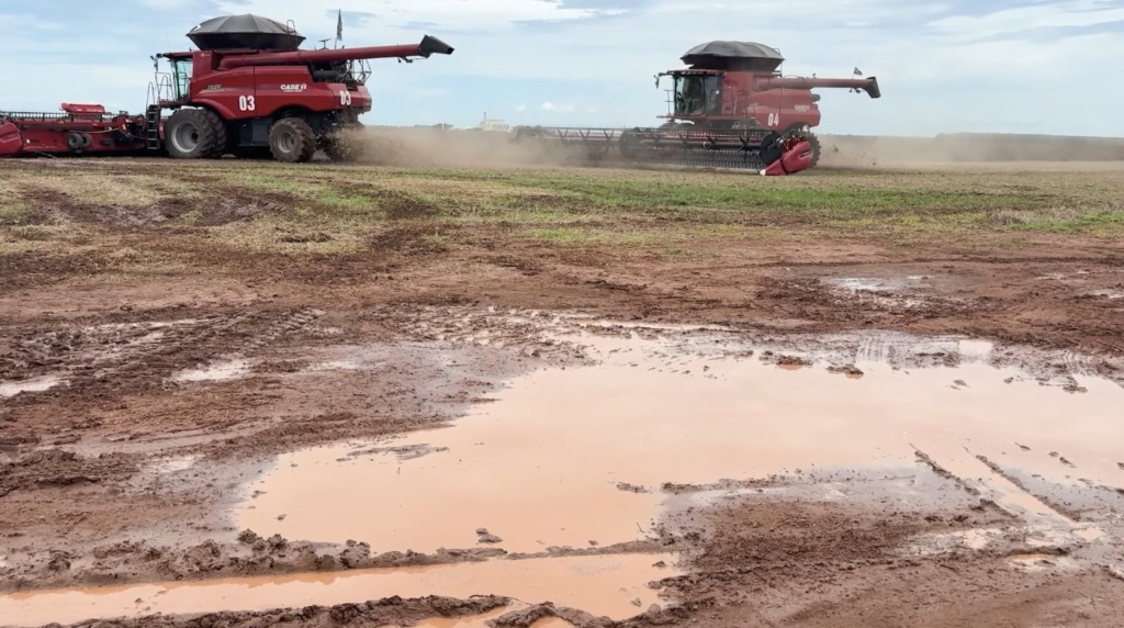 colheita soja querência chuvas foto pedro silvestre canal rural mato grosso
