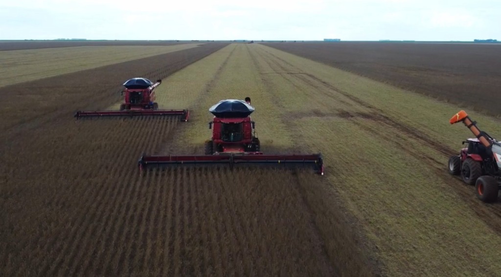 colheita soja sapezal campos de júlio foto pedro silvestre canal rural mato grosso