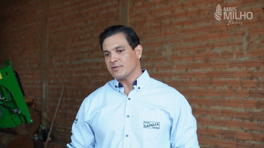 milho verão uberlândia minas gerais foto israel baumann canal rural mato grosso