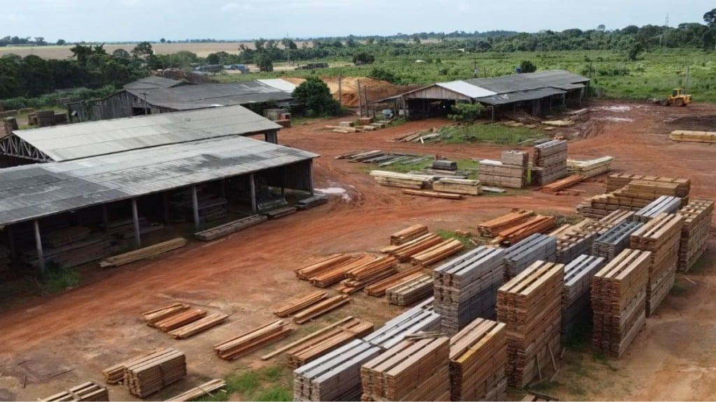 madeira juína foto pedro silvestre canal rural mato Grosso