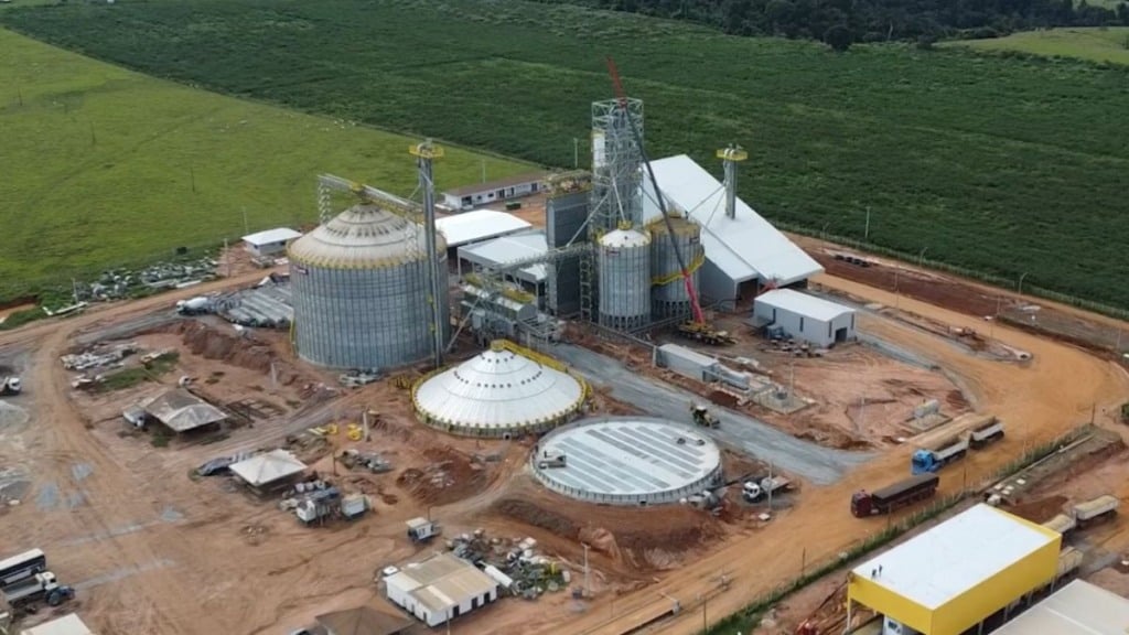 Milho Juína foto pedro silvestre canal rural mato grosso