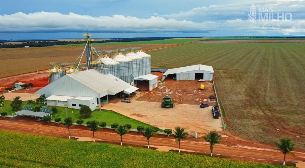 Querência Irio Guisolphi Especial Mais Milho foto Pedro Silvestre Canal Rural Mato Grosso1