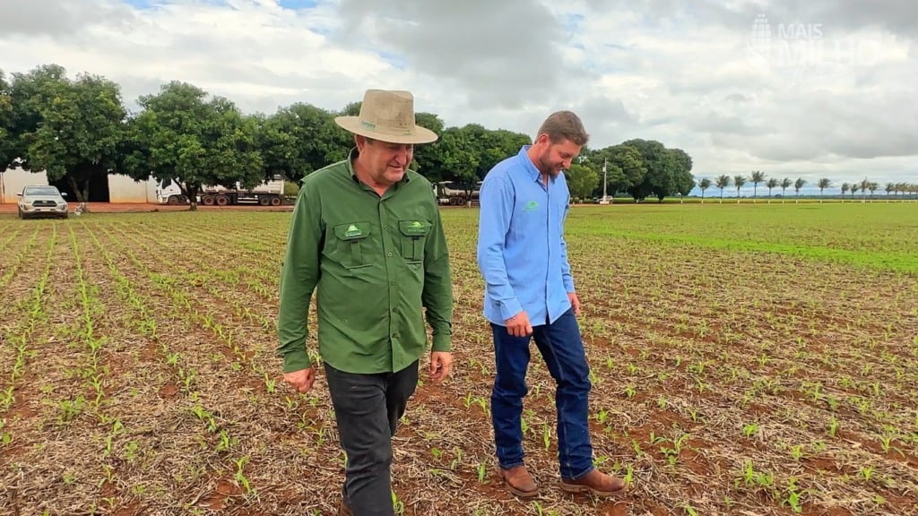 Querência Irio Guisolphi Especial Mais Milho foto Maruan Bello Canal Rural Mato Grosso4