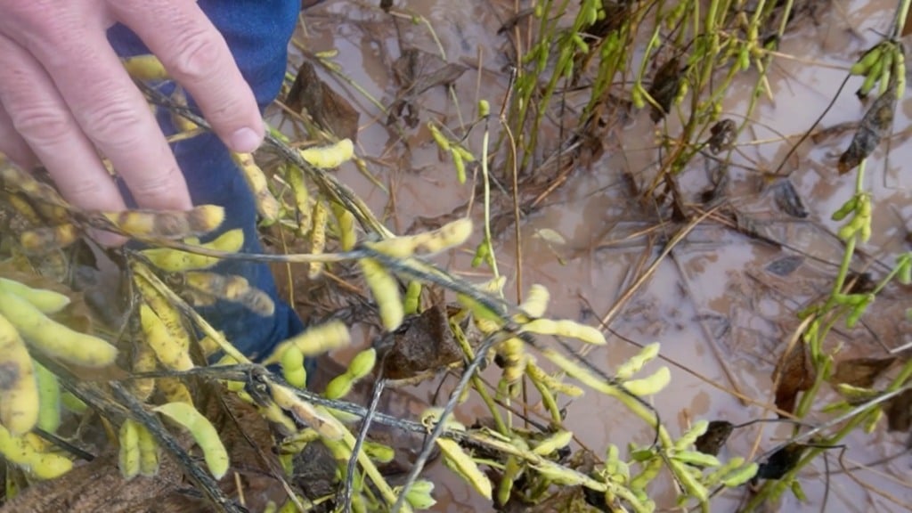 MT-499 paranatinga atoleiros foto Pedro Silvestre Canal Rural Mato Grosso