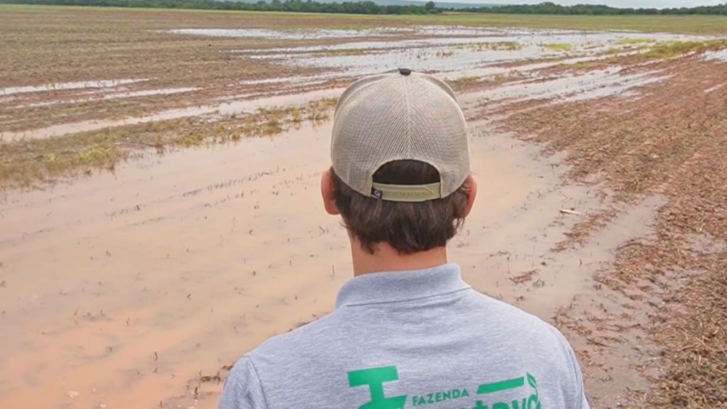 soja debaixo de agua paranatinga foto pedro silvestrecanal rural mato grosso1