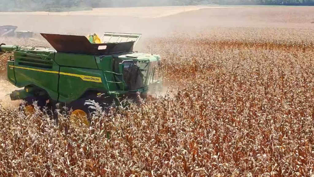 colheita milho foto israel baumann canal rural mato grosso 1