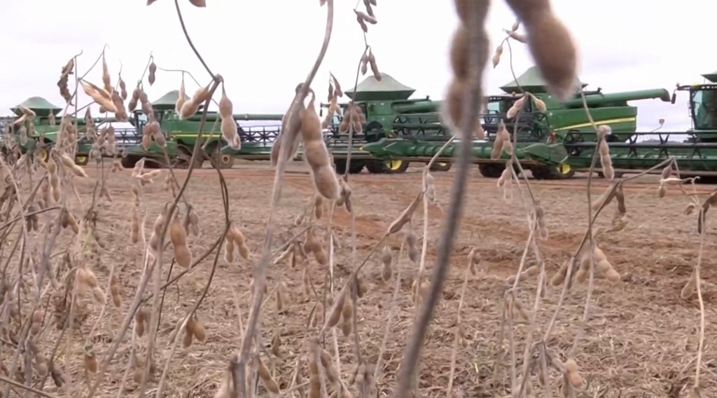 colheita soja reta final foto pedro silvestre canal rural mato grosso
