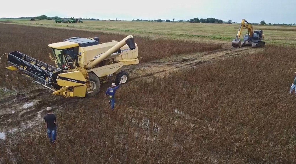 marcelândia soja chuva foto israel baumann canal rural mato grosso