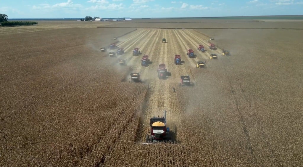 milho foto pedro silvestre canal rural mato grosso 3