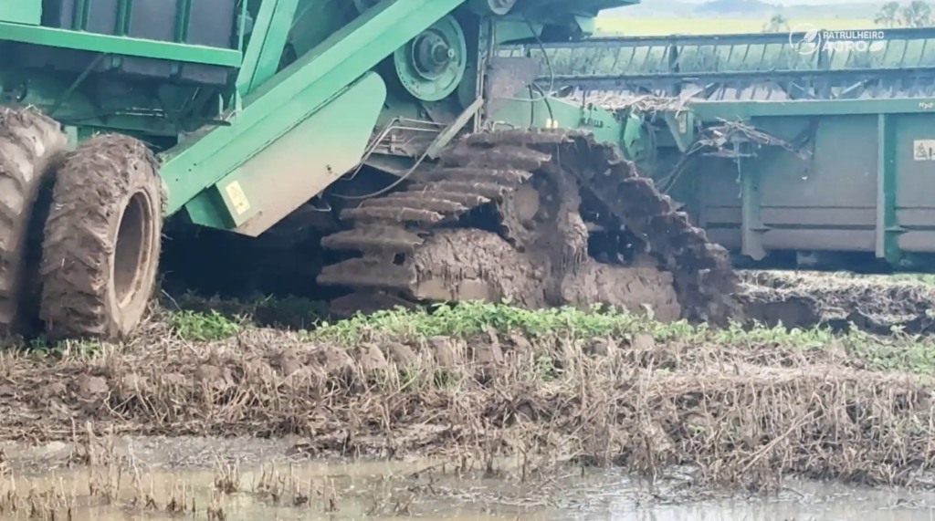 soja chuva planalto da serra patrulheiro agro foto pedro silvestre canal rural mato grosso2
