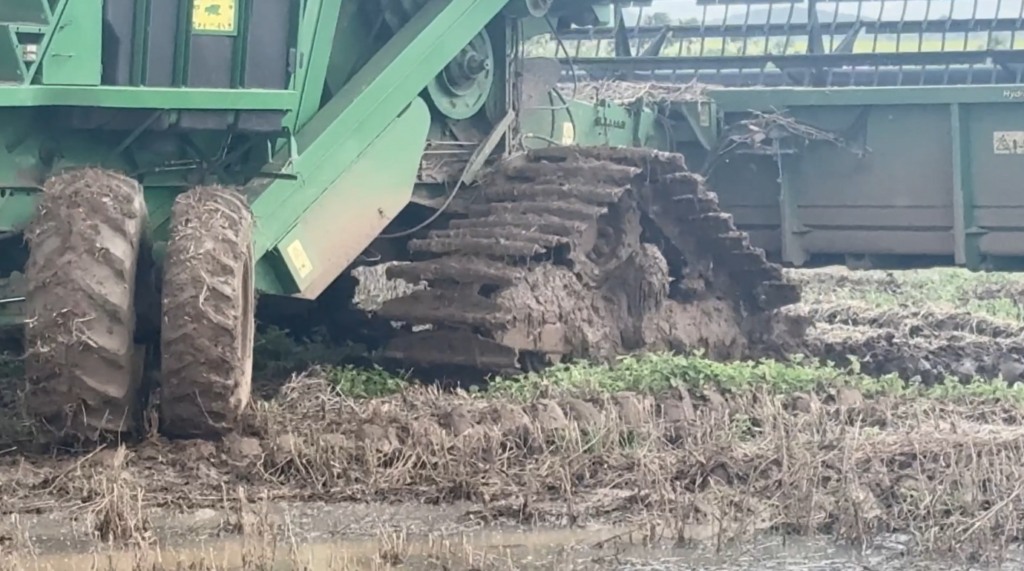 soja planalto da serra foto pedro silvestre canal rural mato grosso1