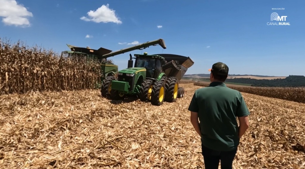mais milho fazenda novorá paraná foto israel baumann canal rural mato grosso