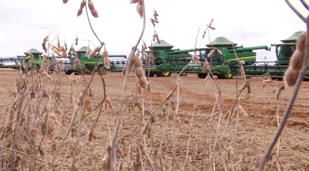 soja colheita foto pedro silvestre canal rural mato grosso