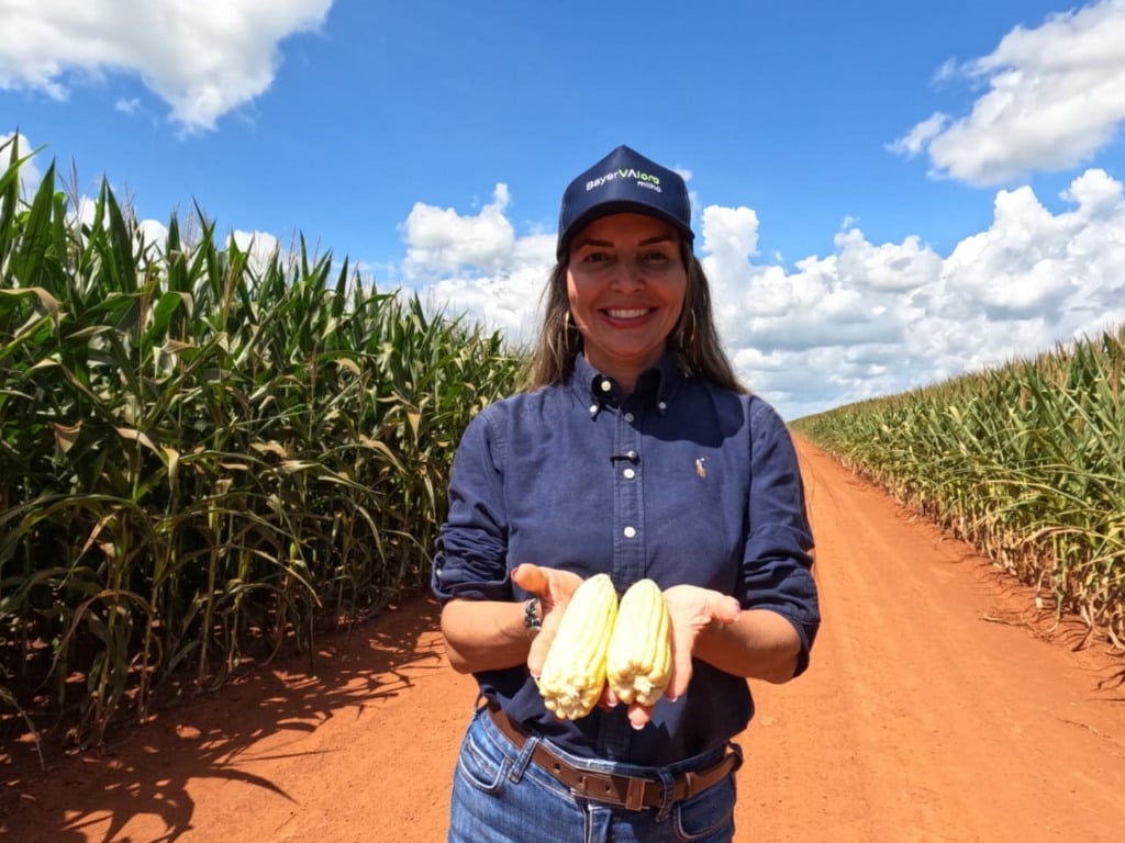 marisa brunetta foto israel baumann canal rural mato grosso direto ao ponto