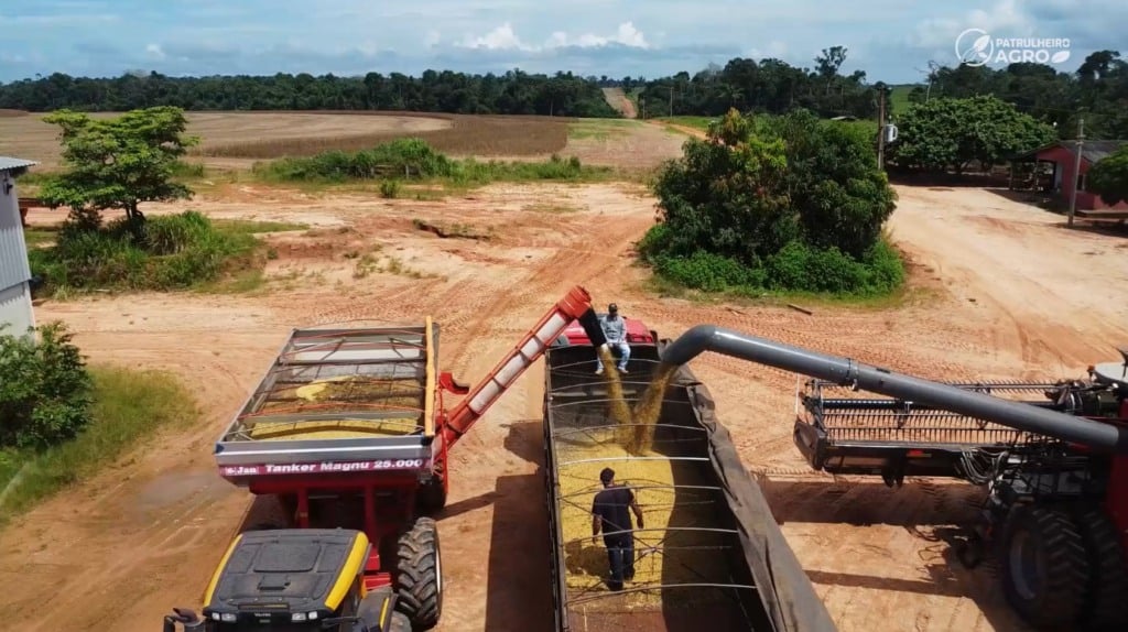 mão de obra no campo foto pedro silvestre canal rural mato grosso