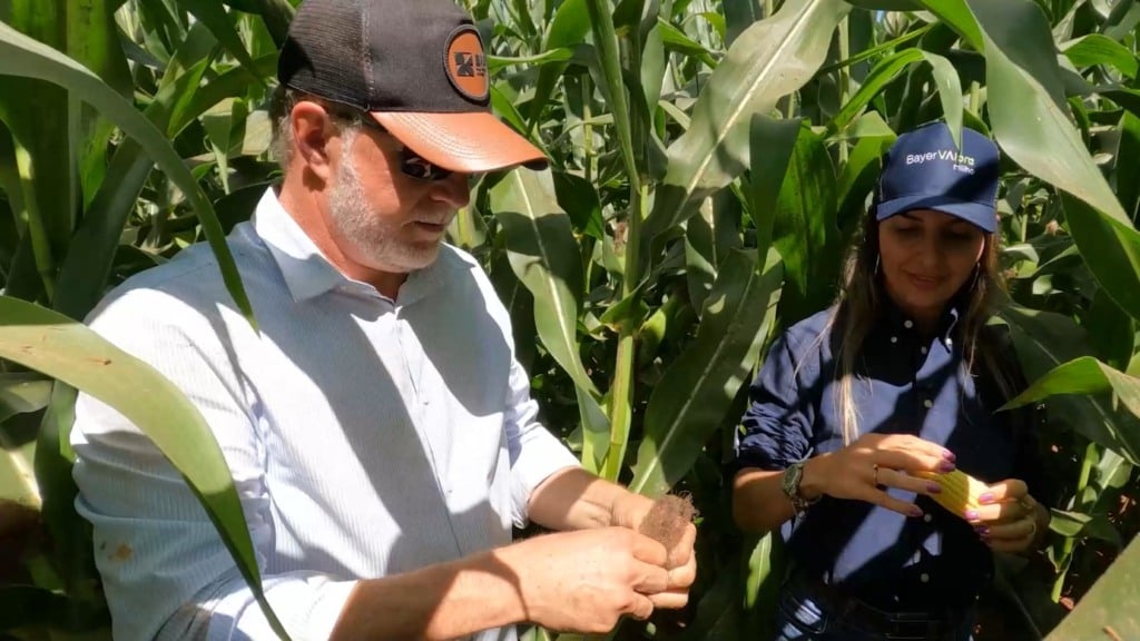 marisa brunetta foto israel baumann canal rural mato grosso direto ao ponto